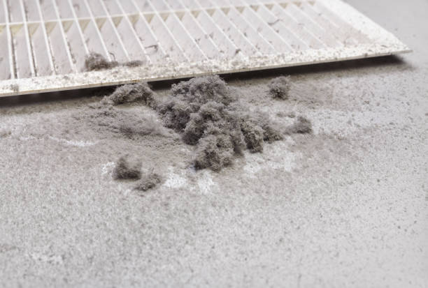 Best Affordable HVAC Duct Cleaning  in Grass Lake, MI