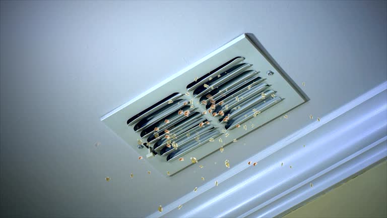 Best Local Air Duct Cleaning Services  in Grass Lake, MI