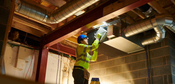 Best Air Duct Inspection  in Grass Lake, MI