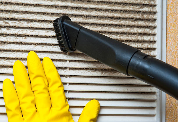Best HVAC Air Duct Cleaning  in Grass Lake, MI